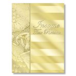 (image for) Tax Folder "Gold Standard" 9 x 12 w/ Pockets MDGSF10